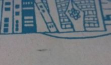 假如我会变成小鸟作文