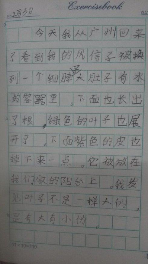 二年级观察日记