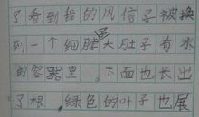 二年级观察日记