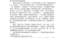 玩的真高兴作文400字