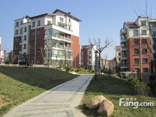 与海林峰看完之后