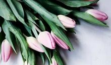 绝口不提不是遗忘，而是铭记