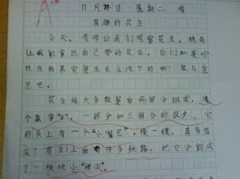 五年级观察日记