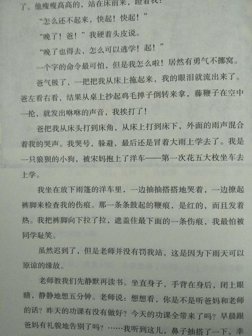 读完城市南部的旧碎片之后