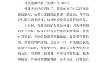 我的外婆作文200字