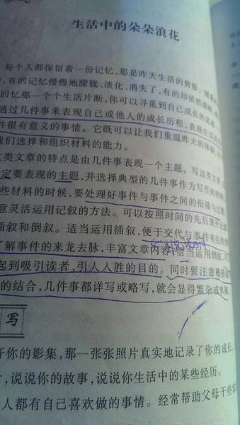 电影复习作文600字