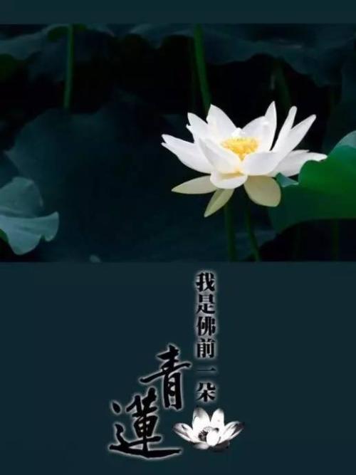 深奥的和哲学的陈述