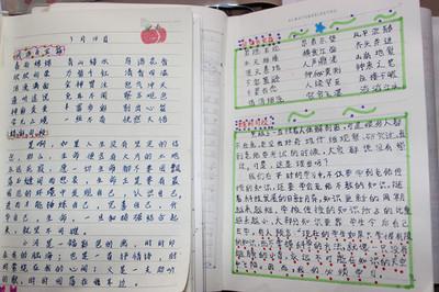 幼儿园老师看书后的感受