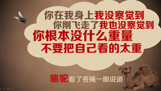 人生理念：专心看看自己