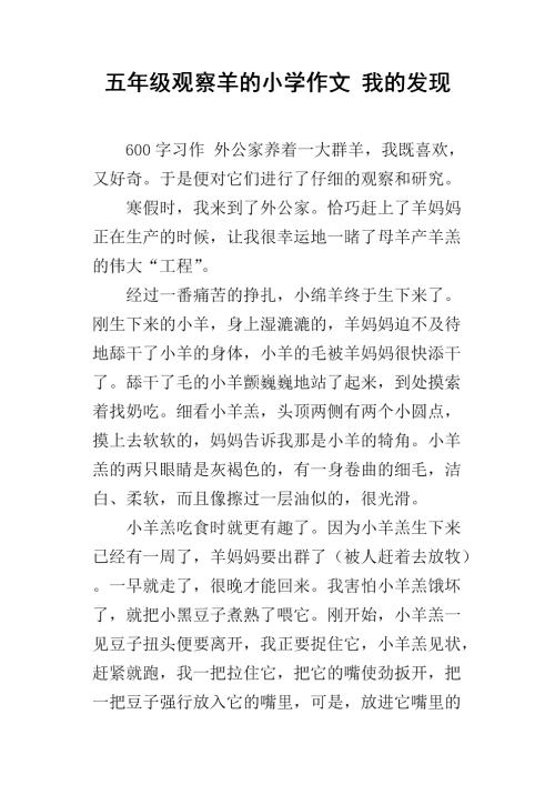 小学作文我的发现