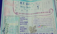 读繁星春水的读后感