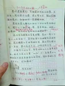 2018年全国高考全场作文全国I卷：满是花，雨，回