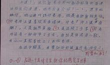 关于我发现了什么的作文