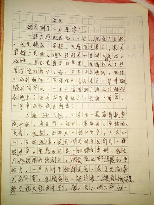 看完第一支笔之后