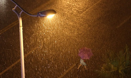 风雨如磐的组成