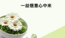 作文一丝惬意心中来