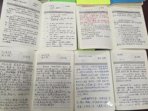 小学老师看书后的感受