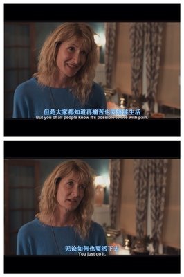 陈鲁豫的经典语录