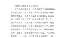 我的书包作文800字