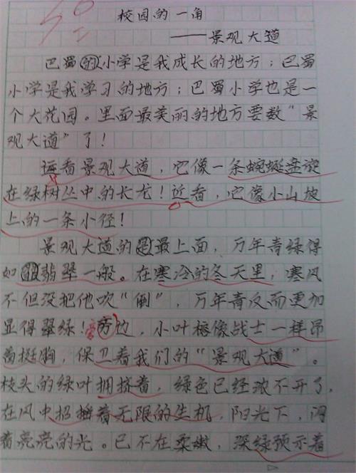 介绍我的家庭作文400字