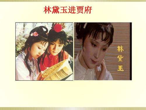 林黛玉入贾府后的思想