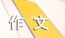 介绍悠悠球的作文