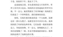 暑假生活作文500字