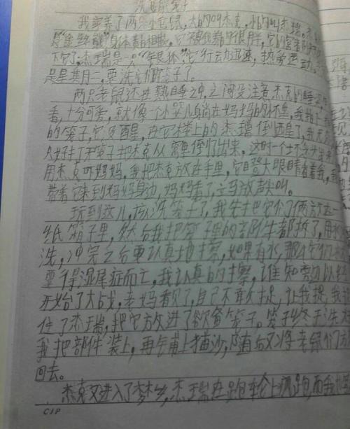 作文记得一件有意义的事