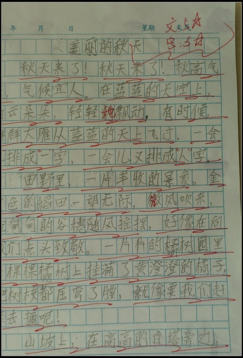 三年级作文春天在这里