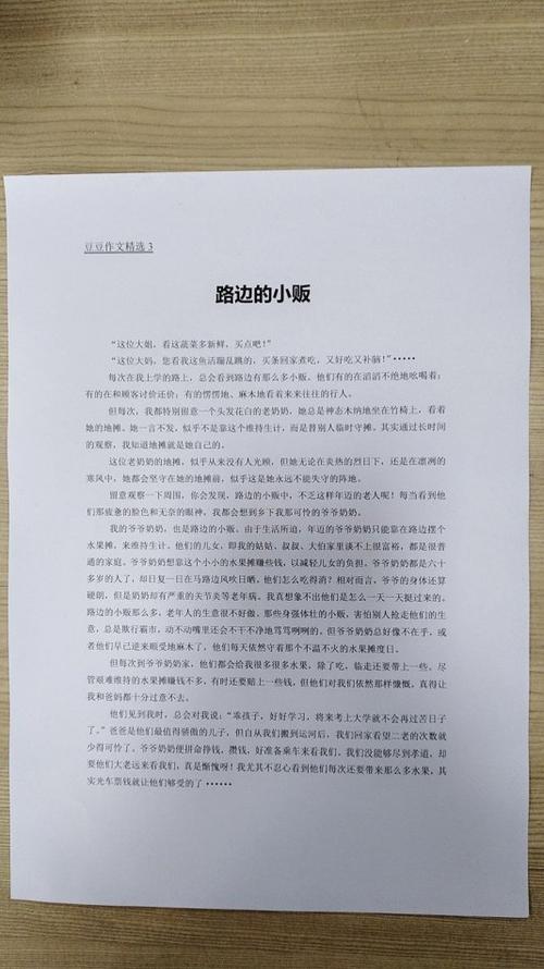 关于姐姐的作文