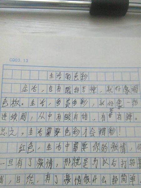 暑假500字