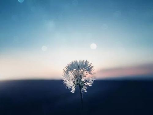 蔡康勇的经典句子