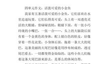 介绍小狗的作文