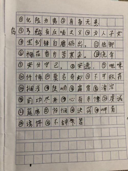 关于孙Robin的游记的思考