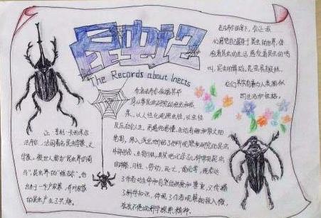 阅读昆虫的第一章之后