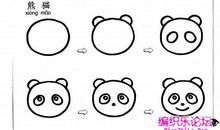 介绍小熊猫作文