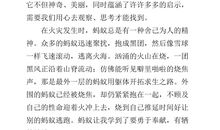 大自然的启示作文300字