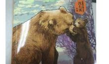 四年级沈石溪读后感