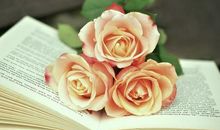 经典语句：谁用真心对我，我便拿命珍惜