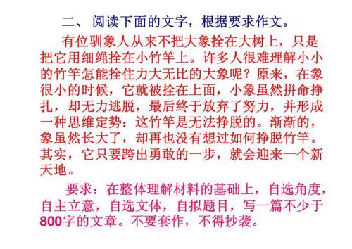 寻找冬天的足迹组成