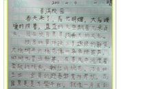 关于春天里的作文