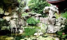 睡莲花开的声音读后感