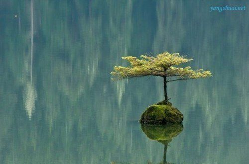 沉默使混乱的心清晰