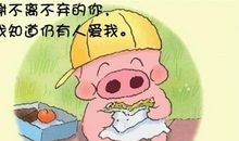 麦兜的经典语录大全