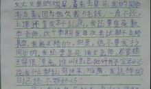 小学生写花的作文