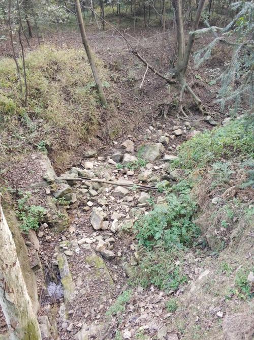 我小时候有趣的事情