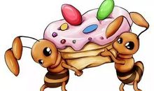 蜜蜂和蚂蚁的读后感