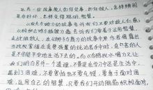 一生读后感800字