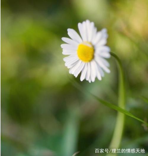 加热一颗心需要多少年，而冷却一颗心只需要一点时间