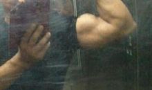 从动物身上得到的启示